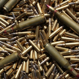 Guns and Ammo Disposal – A service for the Public and Law Enforcement ...